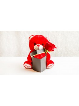 Αρκουδάκι με Κουτάκι Καρδούλα, Σοκολατάκι & Τριαντάφυλλο
