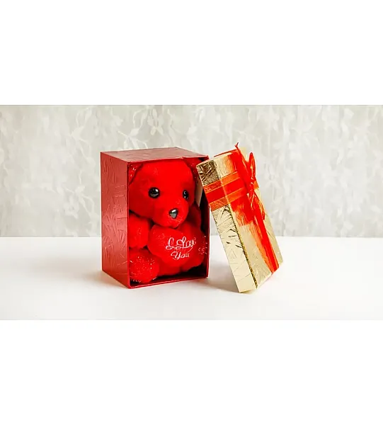 Κουτάκι τετράγωνο με αρκουδάκι κόκκινο μικρό