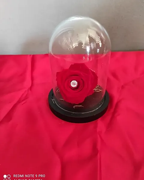 Καμπάνα μικρή με κόκκινο τριαντάφυλλο αθάνατο