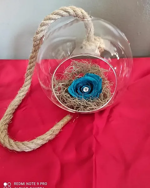 Αθάνατο μπλε τριαντάφυλλο