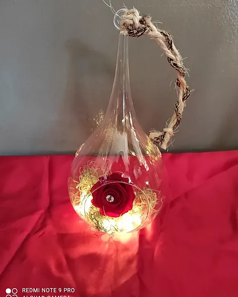 Αθάνατο τριαντάφυλλο  σε δάκρυ φωτάκια