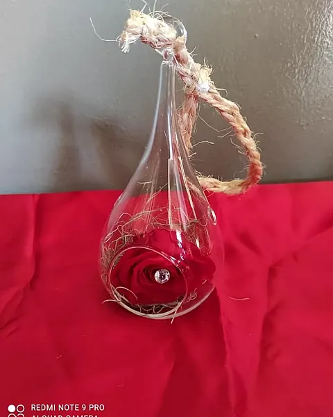 Αθάνατο τριαντάφυλλο σε δάκρυ